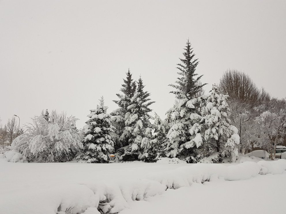 Eiðsvöllur á Akureyri, 2018. Mynd: Herdís Helgadóttir
