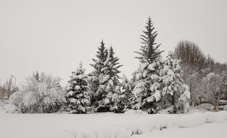 Eiðsvöllur á Akureyri, 2018. Mynd: Herdís Helgadóttir